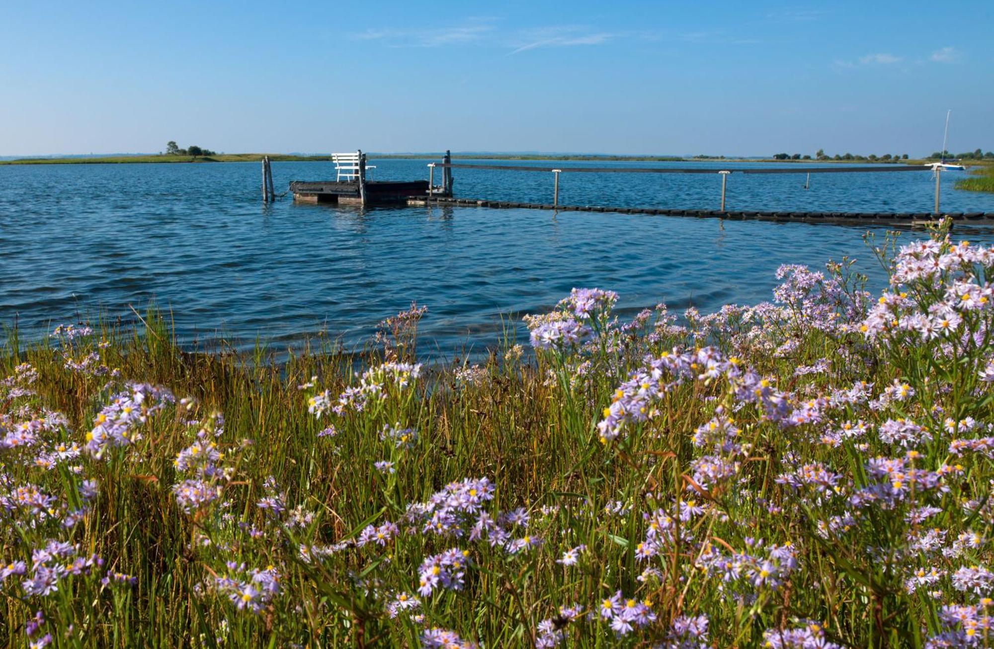 Apartmán Luett Kajuet - Fip Park Insel Poel Exteriér fotografie
